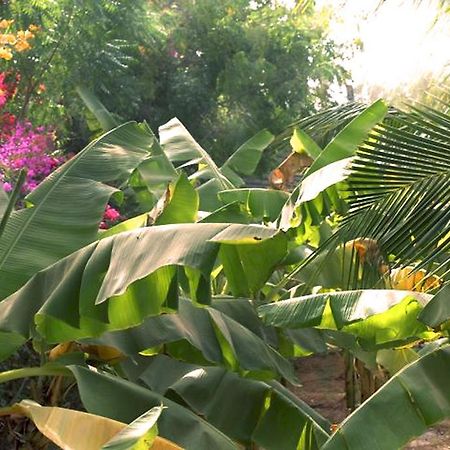 Lampsar Lodge Ndiongo Eksteriør bilde