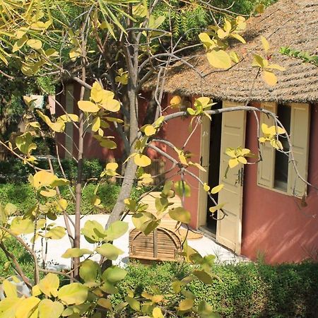 Lampsar Lodge Ndiongo Eksteriør bilde